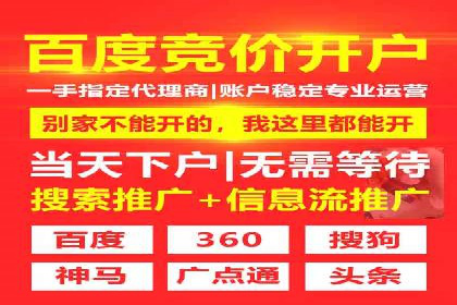 案例分享：SEM广告投放助力电商增长
